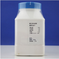 营养琼脂 (NA) Nutrient  Agar