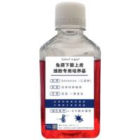 兔颌下腺上皮细胞专用培养基