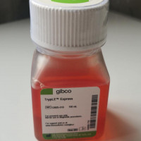 TrypLE™ Express (1X), Phenol R