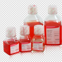 [Genview细胞培养] DAPI（1mg/mL）1mg/