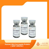 细胞培养，细胞培养常用生长因子，细胞因子，Human Wnt