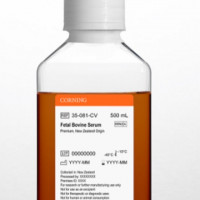 Corning 康宁 35-081-CV 新西兰胎牛血清FB