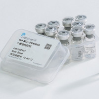 宽范围分子量预染蛋白质标记（3-245kDa）