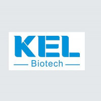 人慢性髓系白血病细胞；K562 (STR)
