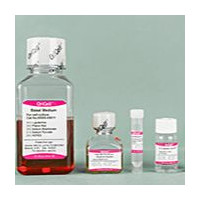 OriCell® 大鼠骨髓间充质干细胞成骨诱导分化试剂盒