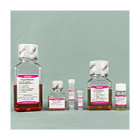 OriCell® 脂肪间充质干细胞成脂诱导分化试剂盒（多用型