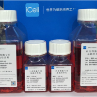 GEMINI 南美胎牛血清/镜像绮点（Cellverse）