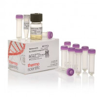 Thermo Scientific™ BL21(DE3) 感