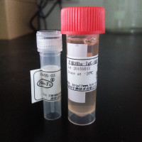 羊抗HBs，血清