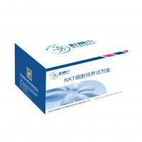NKT细胞培养试剂盒
