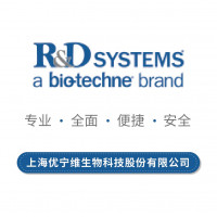 R&D Systems 细胞因子 2306-ML-025 r
