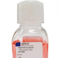 StemPro™ Accutase™ 细胞解离试剂