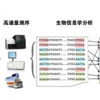 16S/18S/ITS微生物扩增子测序