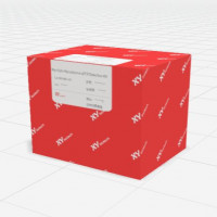 MycoSybr™ 支原体检测试剂盒（qPCR法）