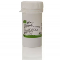 Gibco™ 分散酶 II，粉末 货号: 17105041