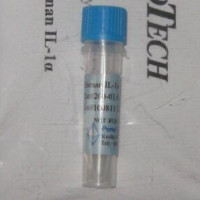 Biotinylated Anti-Human sCD14细
