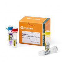 BioMycoX Mycoplasma PCR Detect