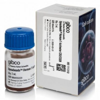 Gibco11131D/11132D用于T细胞扩增和活化的