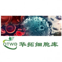 NCI-H498人结直肠腺癌细胞|NCI-H498细胞|人结