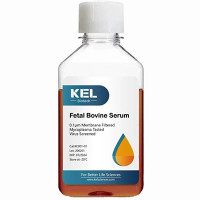 Fetal Bovine Serum Heat Inacti