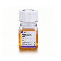 KnockOut™ 血清替代物