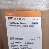 CORNING  35-081-CV  胎牛血清，新西兰 F
