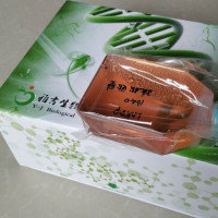 ATCC来源人非小细胞肺癌细胞NCIH1573