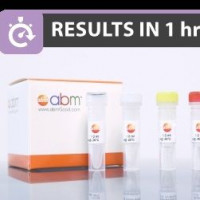 端粒酶试剂组合-Telomerase Reagent Kit