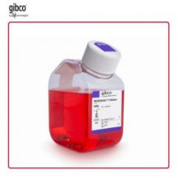 Gibco 10888022 Neurobasal-A 无血