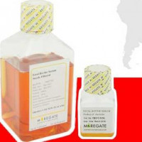 澳洲/新西兰胎牛血清Fetal Bovine Serum 一