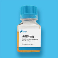 优级胎牛血清
