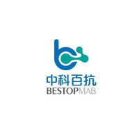 重组人玻连蛋白