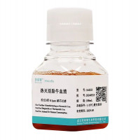 热灭活胎牛血清