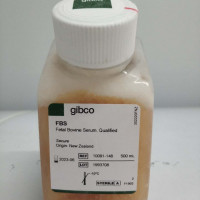 新西兰胎牛血清
