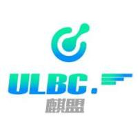A20 小鼠B细胞淋巴瘤细胞
