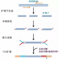 肿瘤目标区域测序