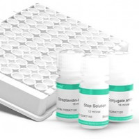 EZ4U – Cell Proliferation and