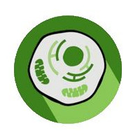 NLRP3 Knockdown THP-1 Cell Poo