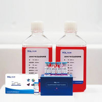AMMS®高纯度NK试剂盒套装2.0|NK细胞培养|NK细