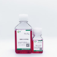 成纤维细胞/原代细胞完全培养基
