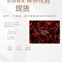 高效DNA/RNA转染试剂
