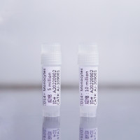 CD14+单核细胞-fresh 正选