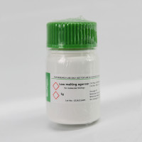 低熔点琼脂糖，Agarose L.M.P