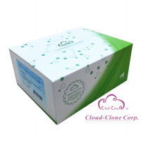 Active Caspase 1 (CASP1)