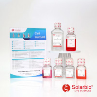 SCCT-112011 hela 人宫颈癌(培养套装)