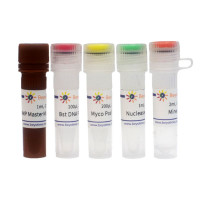 BeyoColor™支原体等温扩增变色检测试剂盒