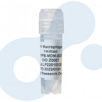 M1型 巨噬 分离培养服务 | M1 Macrophages