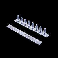 0.1ml透明PCR8联管&8联光学盖