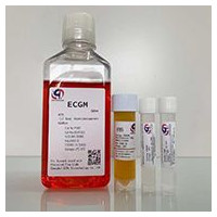 ECGM内皮细胞培养基