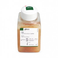 GIBCO 10091148  新西兰特级胎牛血清 Feta